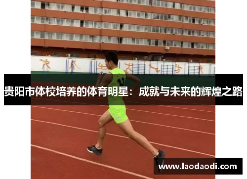 贵阳市体校培养的体育明星：成就与未来的辉煌之路