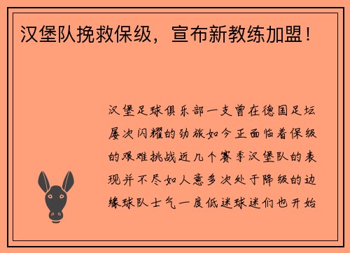 汉堡队挽救保级，宣布新教练加盟！