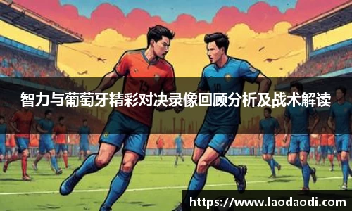 3377体育官网